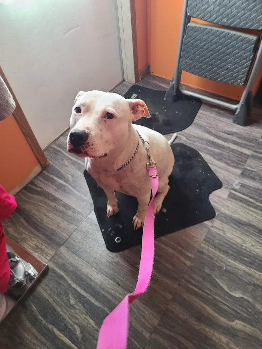 Bartlesville Animal Hospital & Boarding Kennel 8