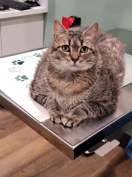 Arrowhead Veterinary Clinic 5