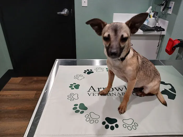 Arrowhead Veterinary Clinic 2