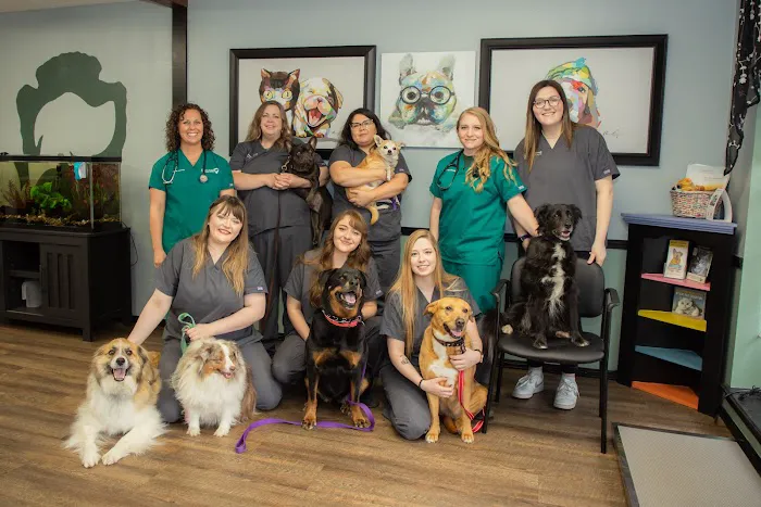 Arrowhead Veterinary Clinic 7