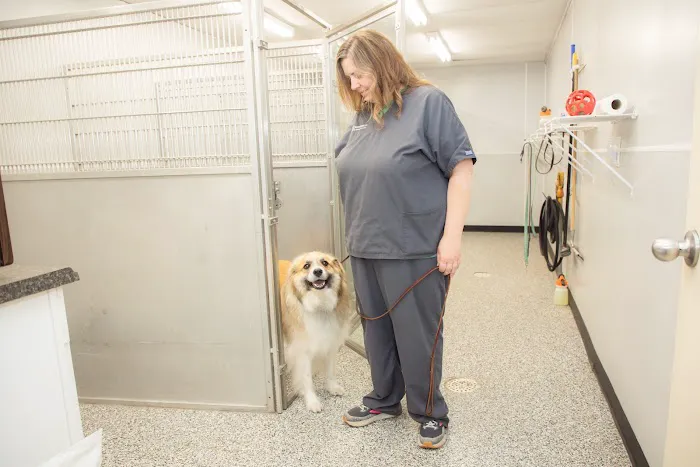 Arrowhead Veterinary Clinic 8