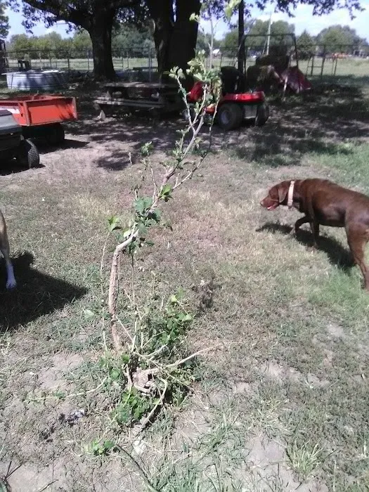 Dewey Veterinary Clinic 2
