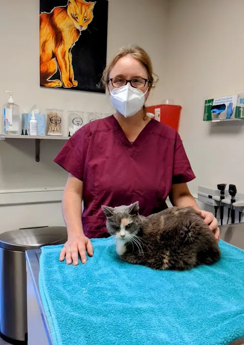 4 The Animals Veterinary Clinic 3