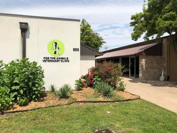 4 The Animals Veterinary Clinic 6