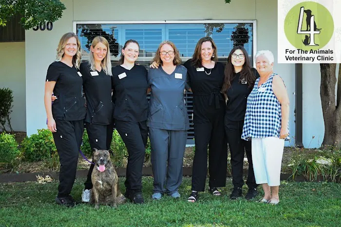4 The Animals Veterinary Clinic 8