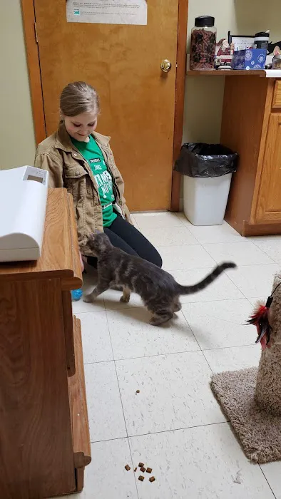 Parsons Pet Hospital 3
