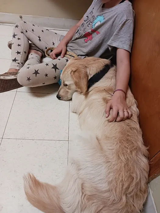 Parsons Pet Hospital 6