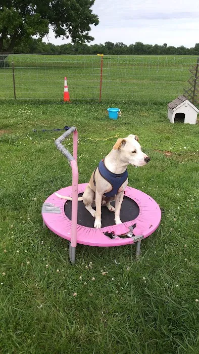 Parsons Pet Hospital 8