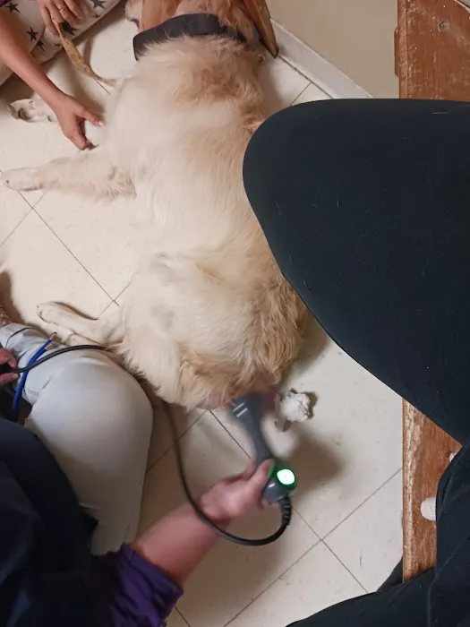 Parsons Pet Hospital 5