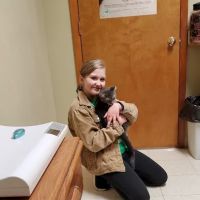 Parsons Pet Hospital ico