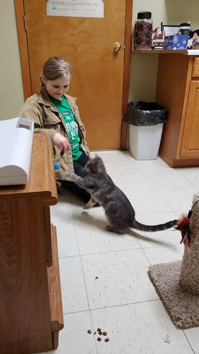 Parsons Pet Hospital 2