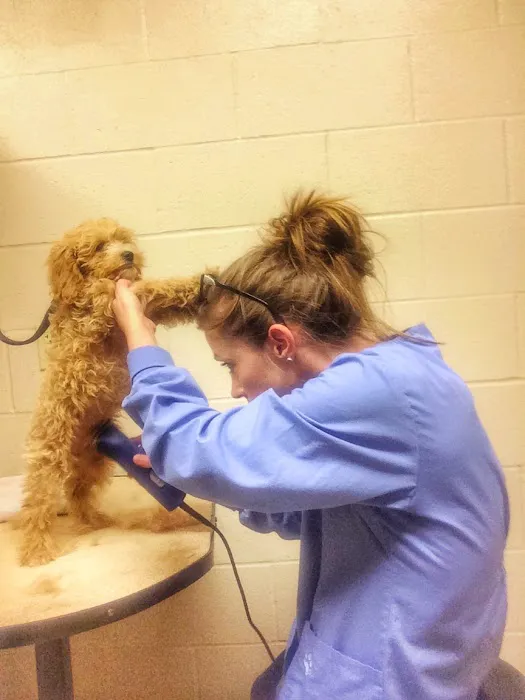 Town & Country Animal Hospital 5