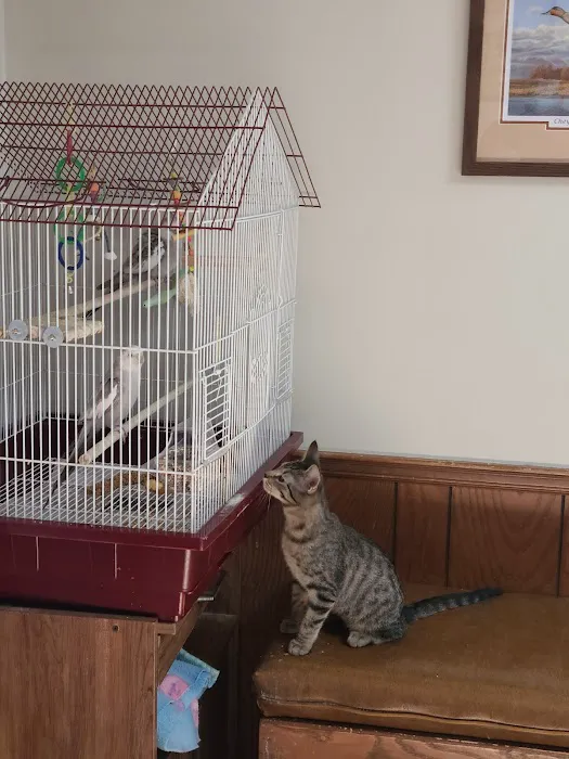 Girard Animal Hospital 6
