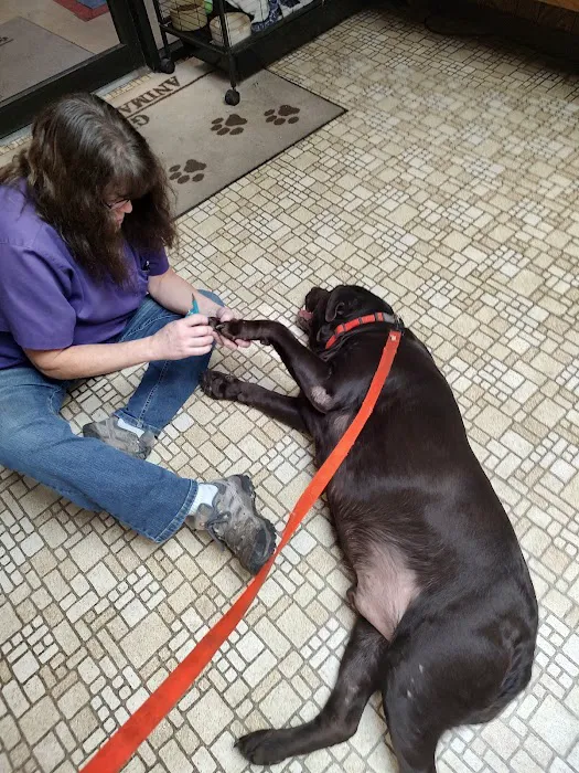 Girard Animal Hospital 4