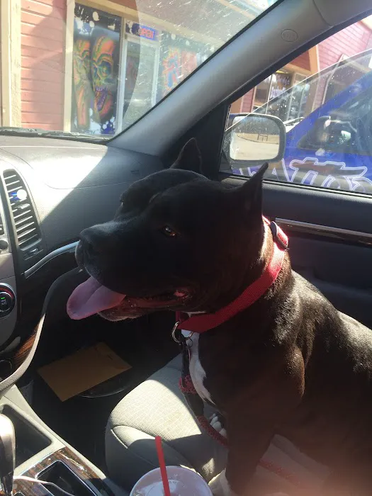Eastside Animal Hospital 8