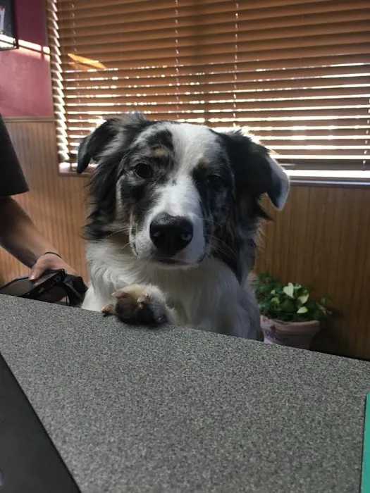 Eastside Animal Hospital 5