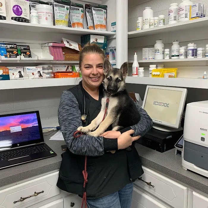 Eastside Animal Hospital 7