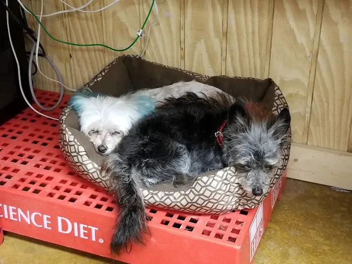 Northside Veterinary Clinic 10
