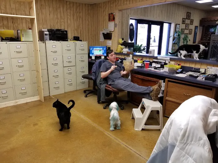 Northside Veterinary Clinic 9