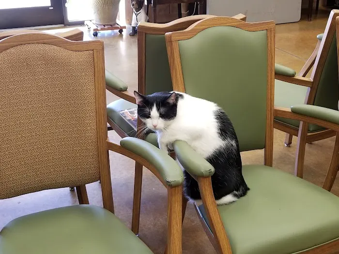 Northside Veterinary Clinic 7
