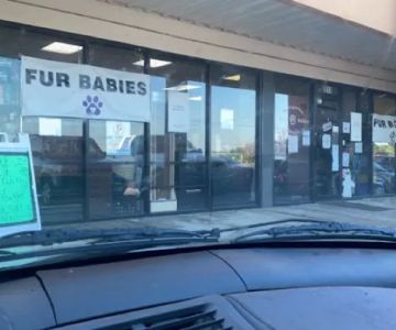Fur Babies