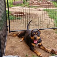 Honor Heights Veterinary Clinic ico