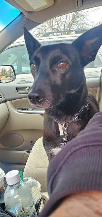 Honor Heights Veterinary Clinic 3