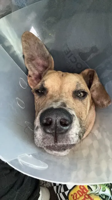 Animal Medical Center 6