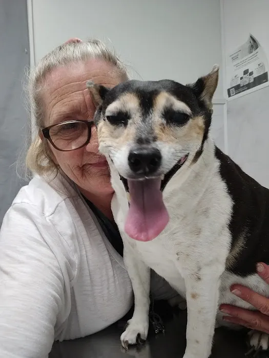 Animal Medical Center 3