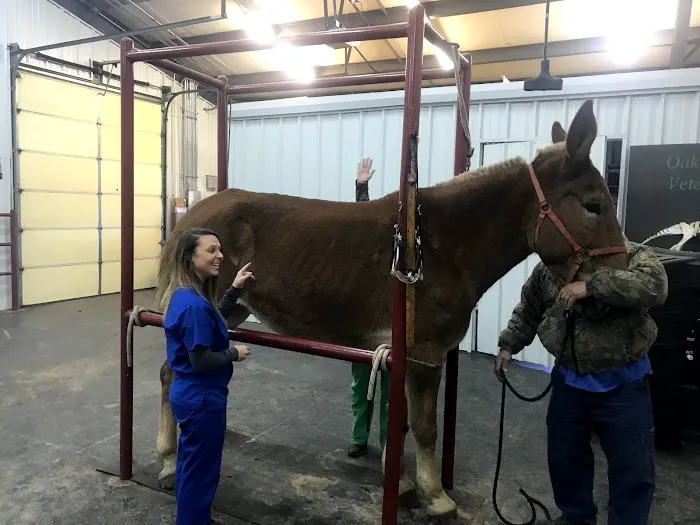 Oak Grove Veterinary Hospital INC. 6