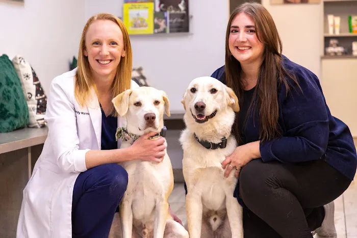 Best Friends Animal Hospital and Pet Hotel 1