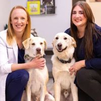 Best Friends Animal Hospital and Pet Hotel ico