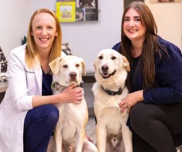 Best Friends Animal Hospital and Pet Hotel