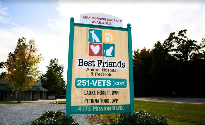 Best Friends Animal Hospital and Pet Hotel 10