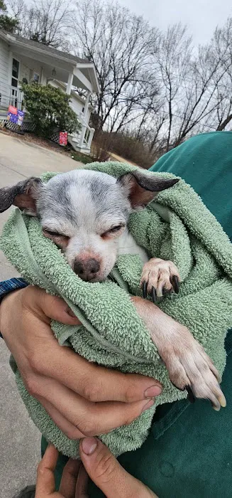 Cornerstone Animal Hospital 8