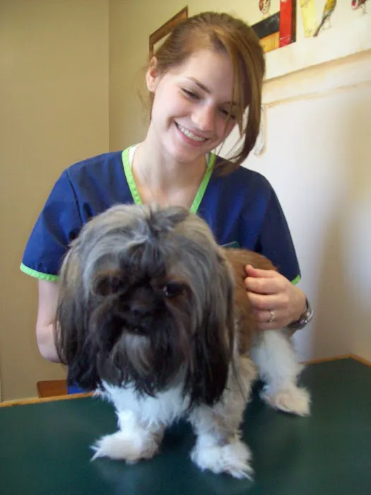 Cornerstone Animal Hospital 2