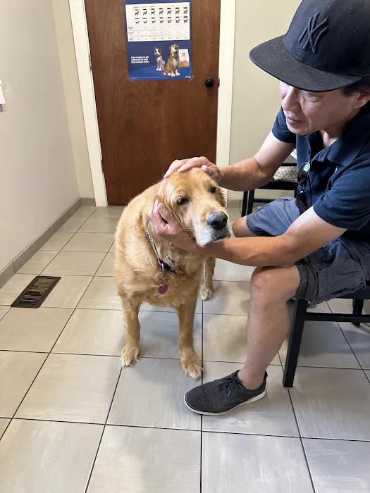 Cornerstone Animal Hospital 5