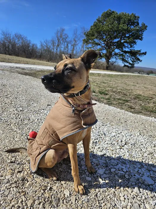 Cornerstone Animal Hospital 9