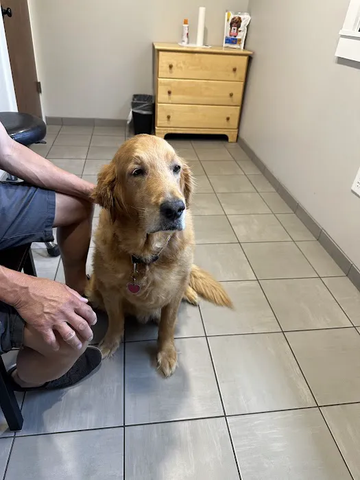 Cornerstone Animal Hospital 6