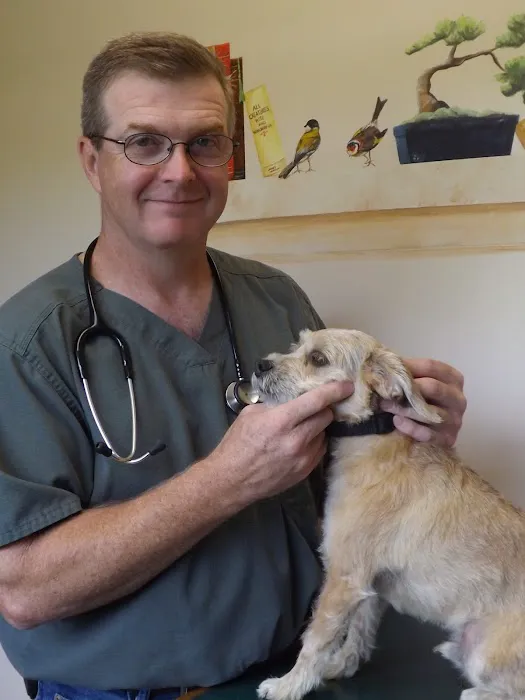 Cornerstone Animal Hospital 10