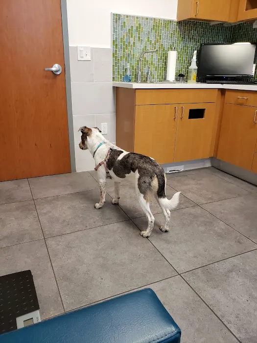 Crossover Veterinary Clinic 4