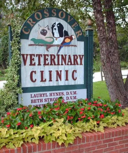 Crossover Veterinary Clinic 8