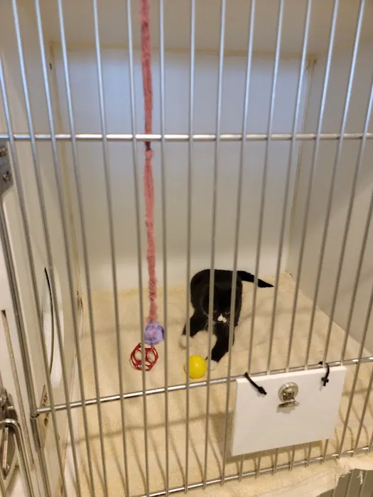 Independence Animal Hospital 8