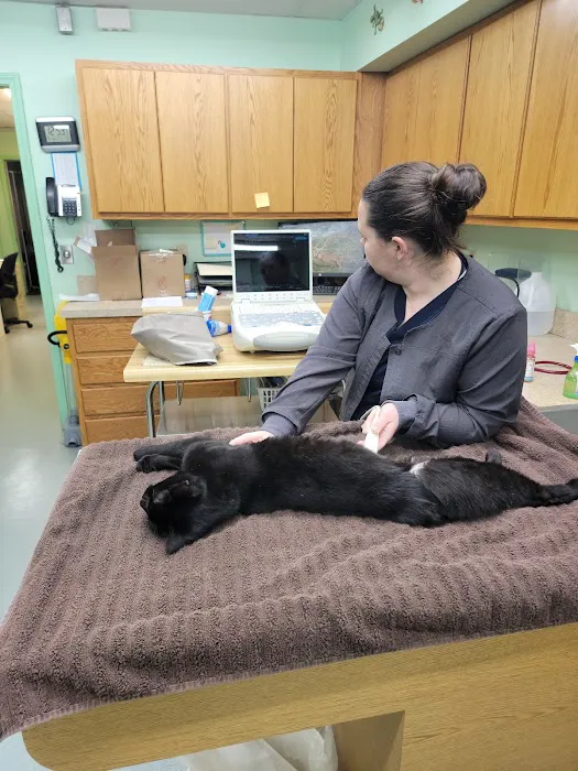 Independence Animal Hospital 5