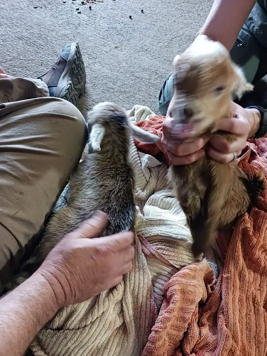 Independence Animal Hospital 10