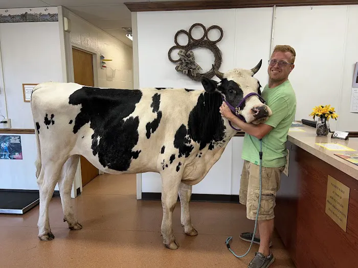 Independence Animal Hospital 6