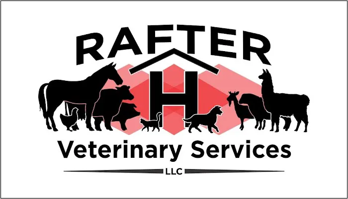 Rafter H Veterinary Services 2