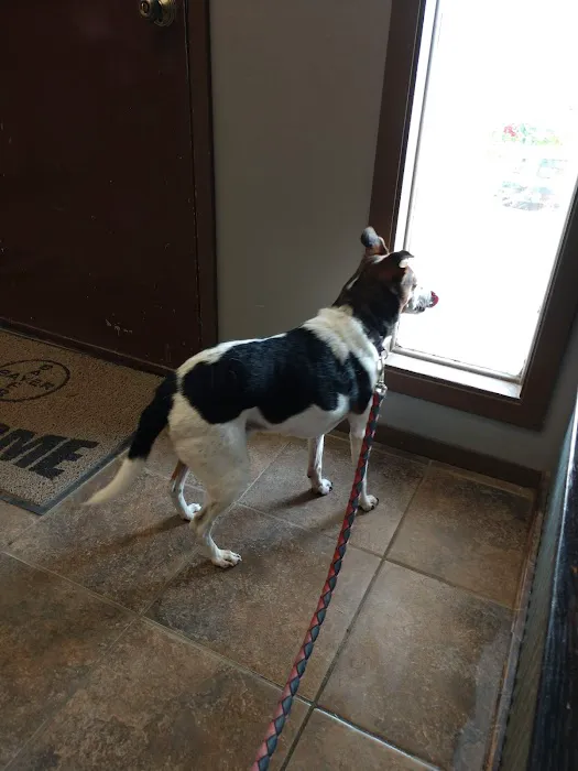 Cherryvale Veterinary Clinic 4