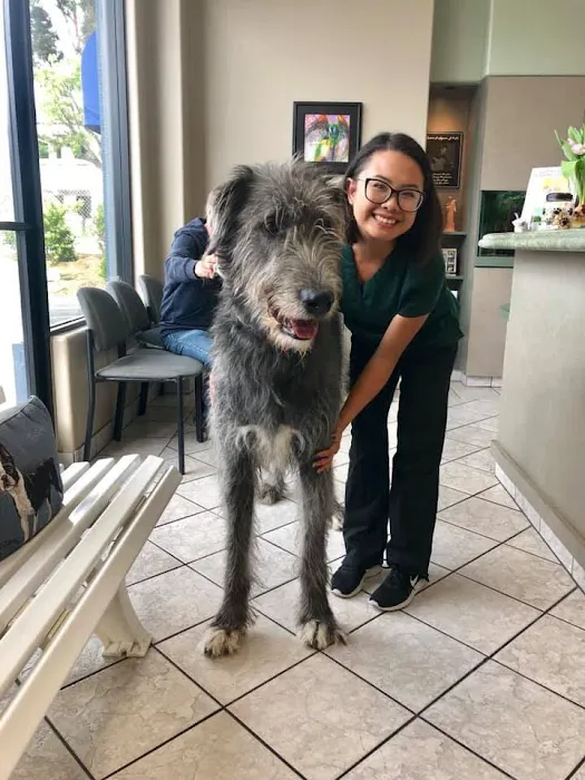 Newbury Park Veterinary Clinic 5