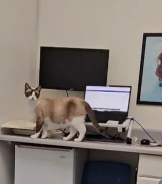 Caring Hands Veterinary Hospital 6